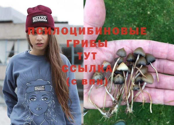 спайс Абаза