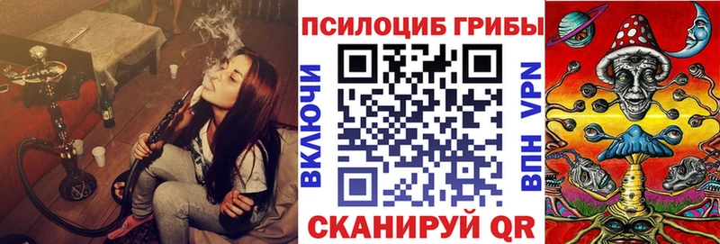 Галлюциногенные грибы Psilocybine cubensis  купить   Карабаново 
